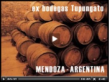 EL TORREON � BODEGAS TUPUNGATO